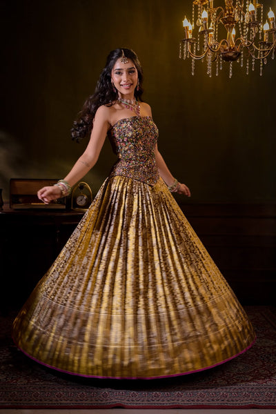 Plum Bronze Gold Corset With Kanchee Silk Tissue Skirt