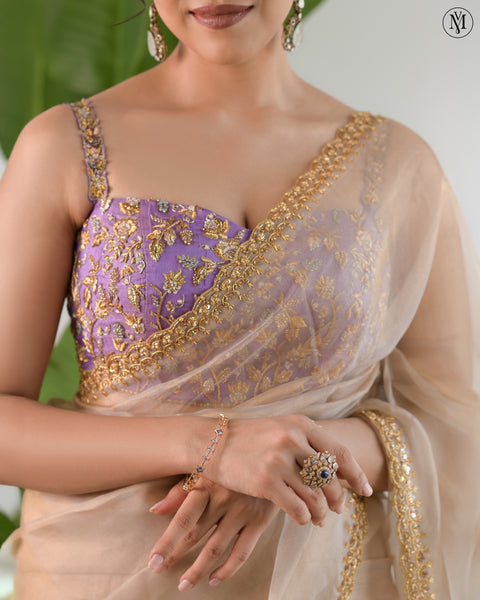 Ravya Saree With Embroided Blouse