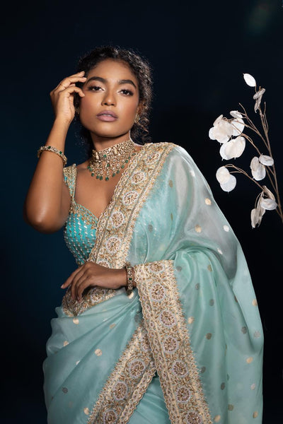 Aqua Mist Tissue Embroidered Saree