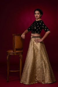 Beige Banarasi Skirt & Parrot Embroidered Velvet Crop Top